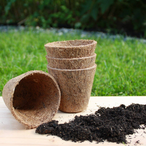 8 cm plant pots Rubberised Certified Organic Coir Seedling Pots: 8cm – Sprouts of Bristol