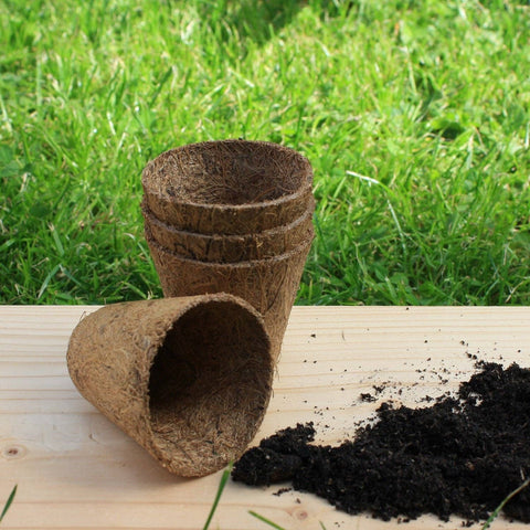 Rubberised Certified Organic Coir Seedling Pots: 8cm - Sprouts of Bristol