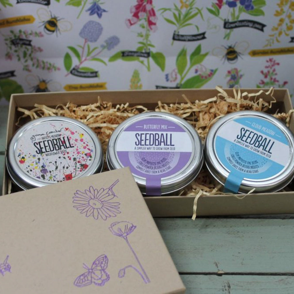 Seedball Tin Giftbox - Sprouts of Bristol