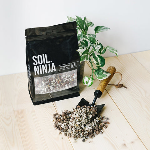 soil ninja premium monstera and philodendron soil mix Semi Hydro Mix – Sprouts of Bristol