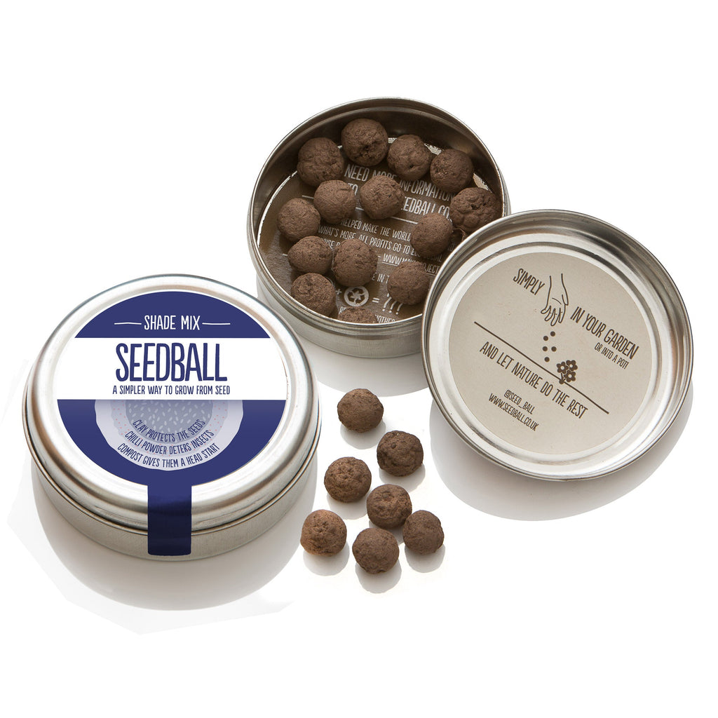 Shade Mix Seedball Tin - Sprouts of Bristol
