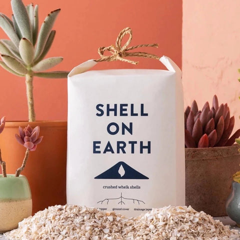 Shell on Earth - Crushed Whelk Shells – Sprouts of Bristol