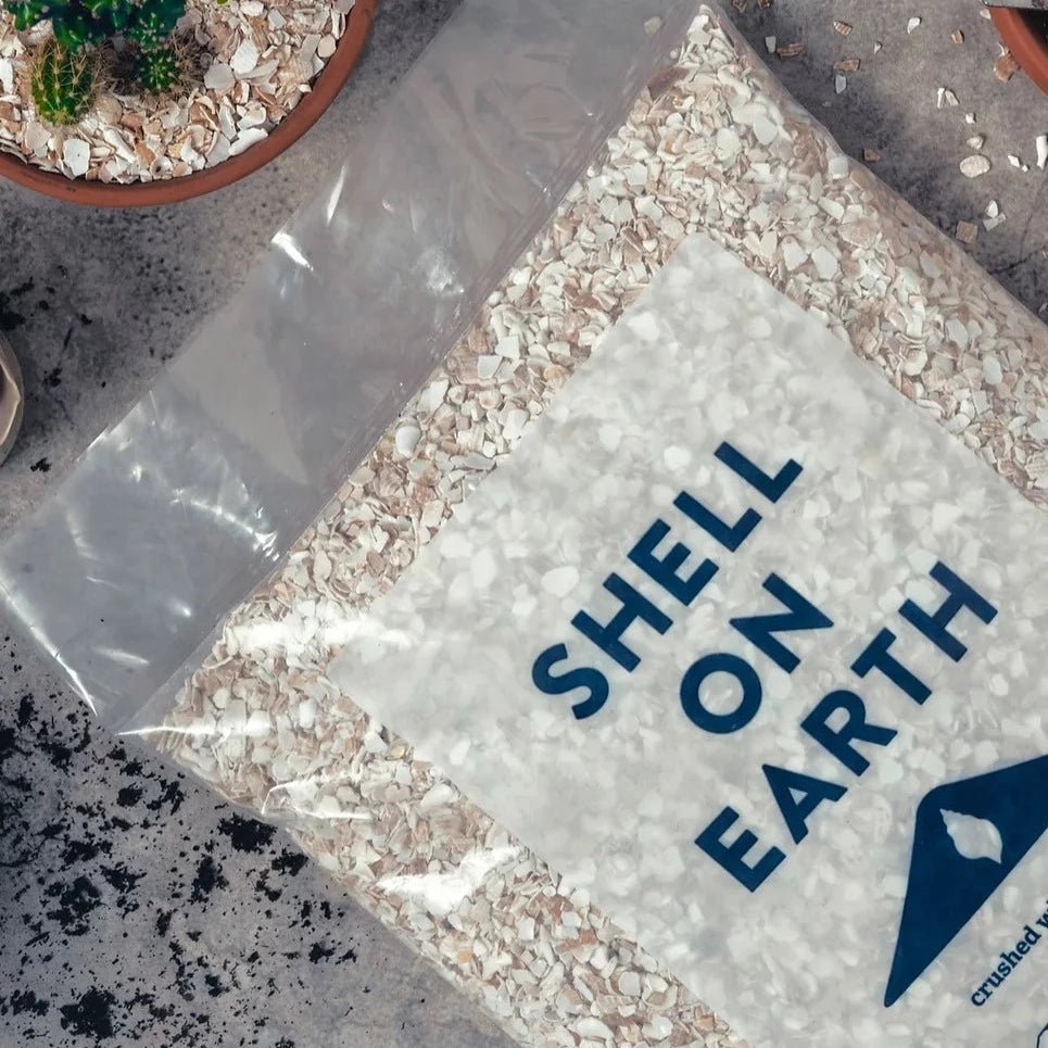 Shell on Earth - Crushed Whelk Shells - Sprouts of Bristol
