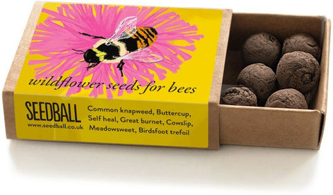 Shrill Carder Bumblebee Seedball Box - Sprouts of Bristol