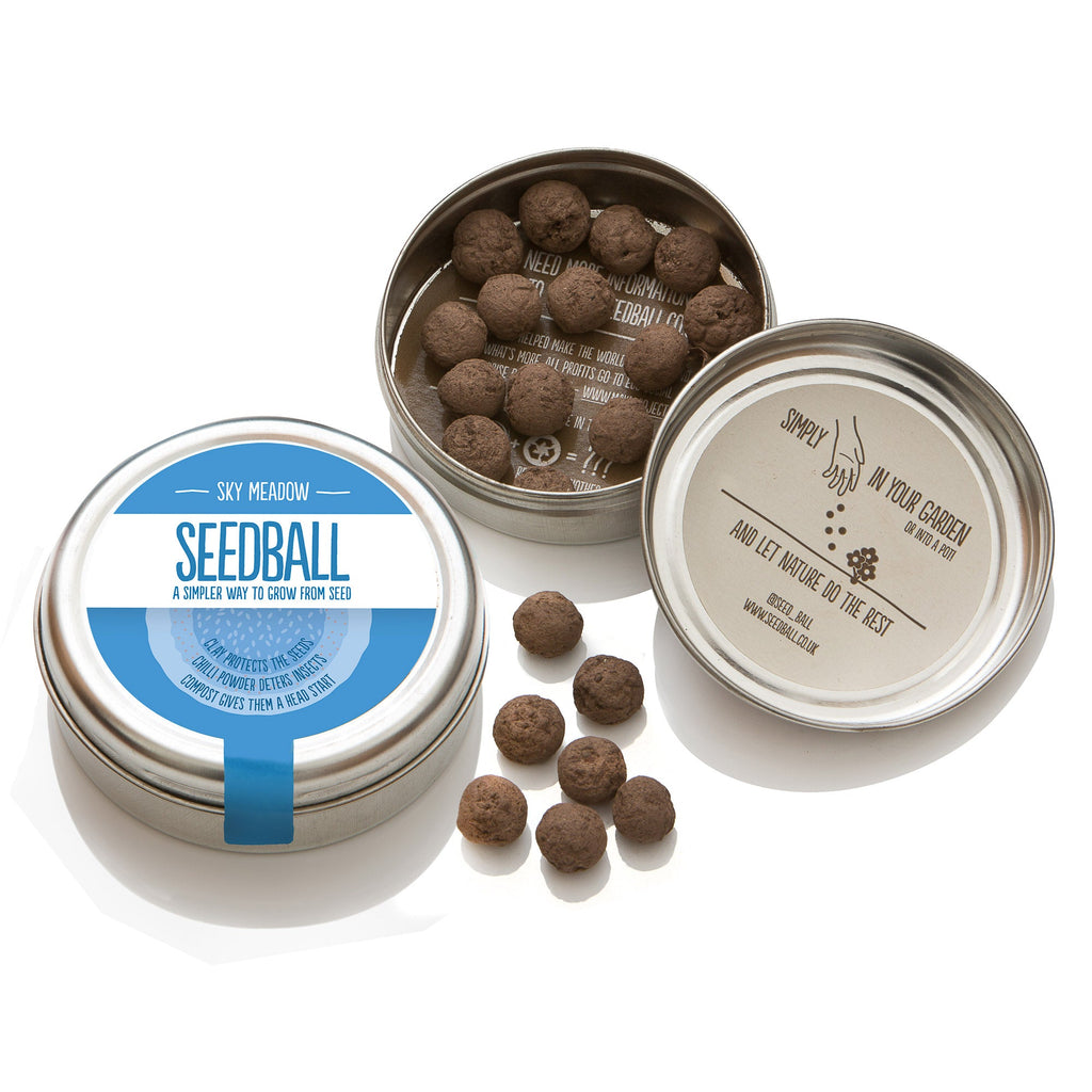 Sky Meadow Seedball Tin - Sprouts of Bristol