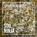 Sphagnum Moss - Soil Component - Sprouts of Bristol