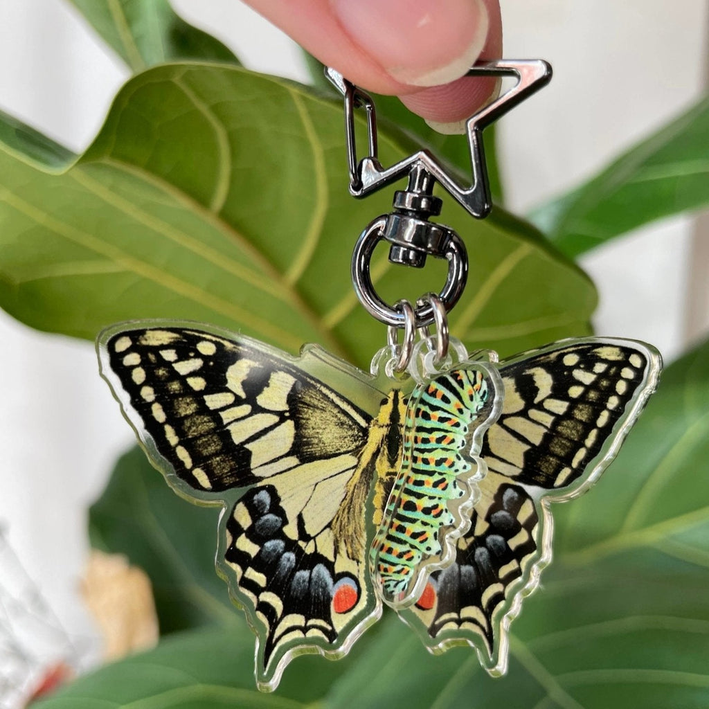 Swallowtail butterfly and caterpillar recycled keychain - Sprouts of Bristol