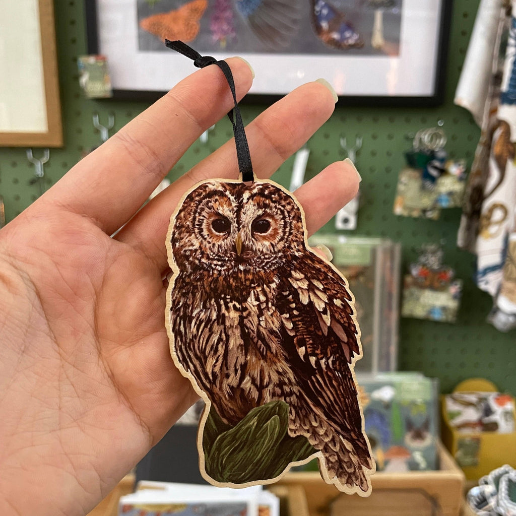 Tawny Owl Wooden Decoration - Sprouts of Bristol