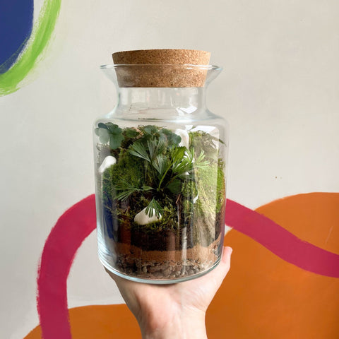 Terrarium DIY Kit [Make Your Own Terrarium with Optional Extras] Plastic Free Packaging! - Sprouts of Bristol