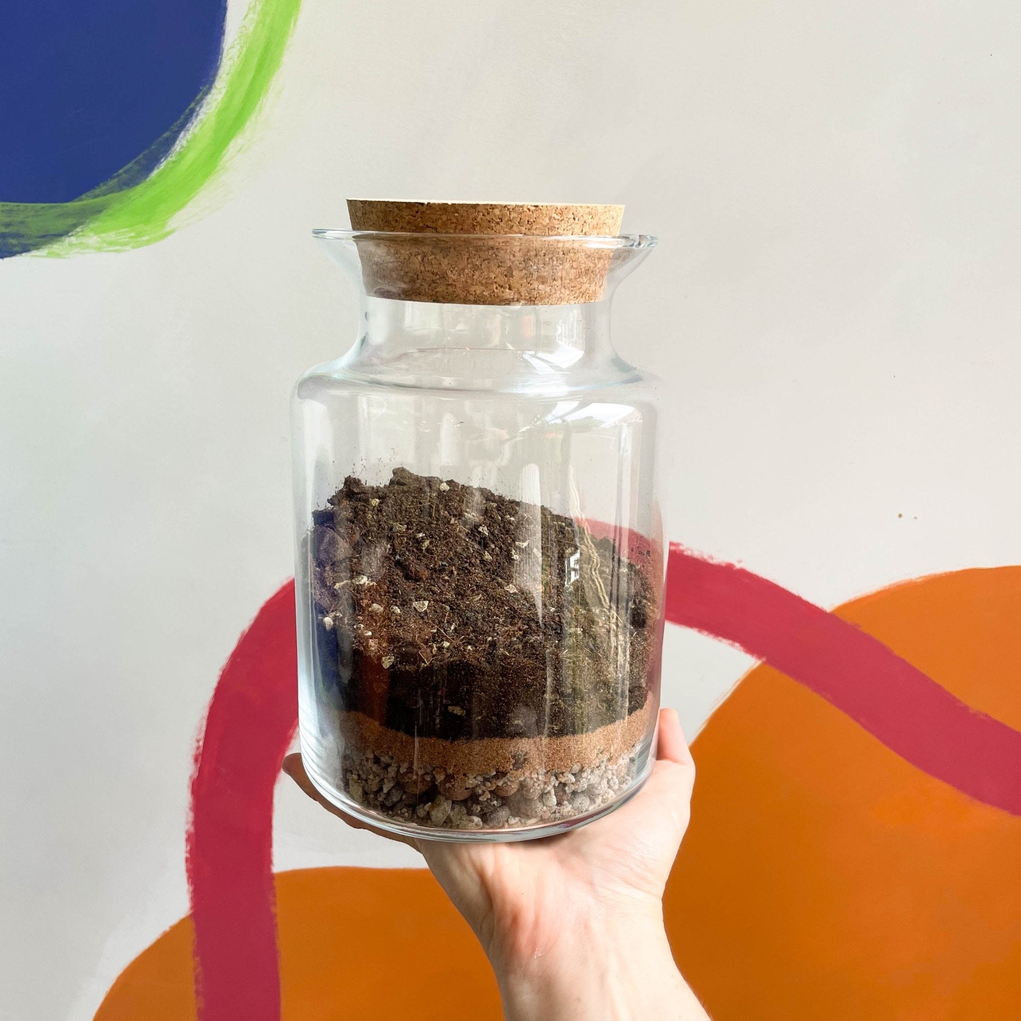 DIY Terrarium Kit [Make Your Own Terrarium with Optional Extras] Plast