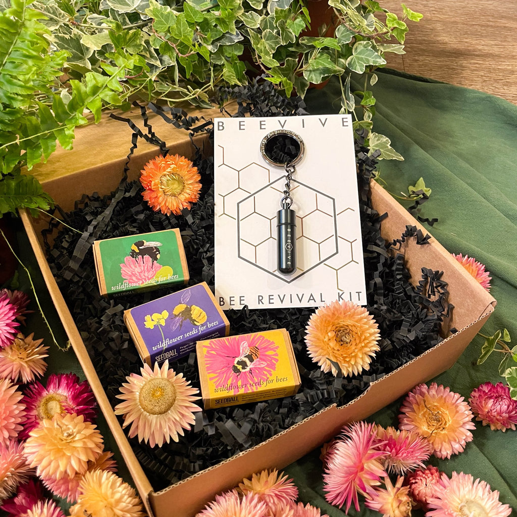 The Bee Saviour Gift Set - Beevive Keyring and Wildflower Seeds - Sprouts of Bristol