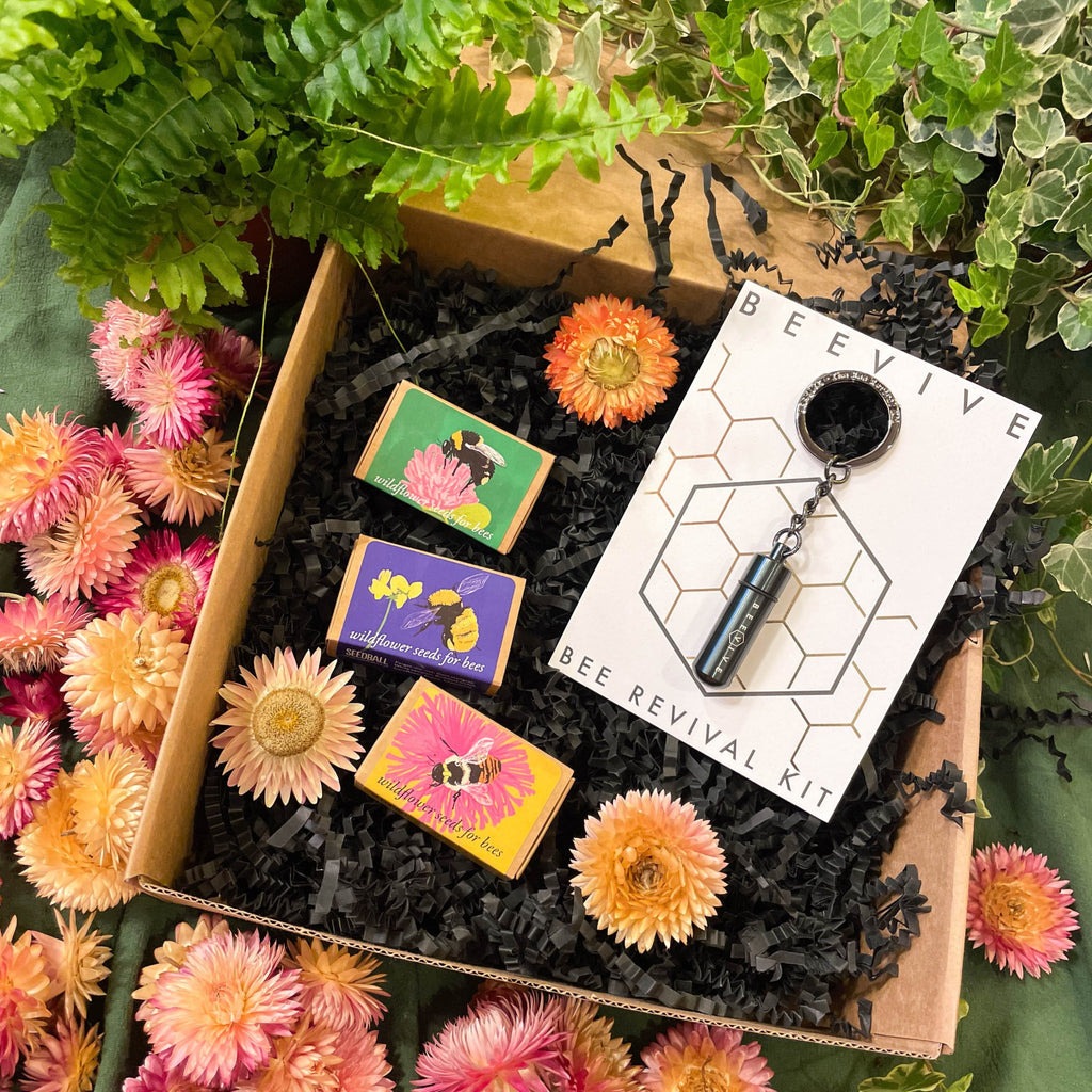The Bee Saviour Gift Set - Beevive Keyring and Wildflower Seeds - Sprouts of Bristol