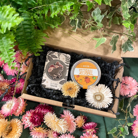 The Flower Lover Mini Gift Set - Wooden Pin and Wildflower Seeds - Sprouts of Bristol