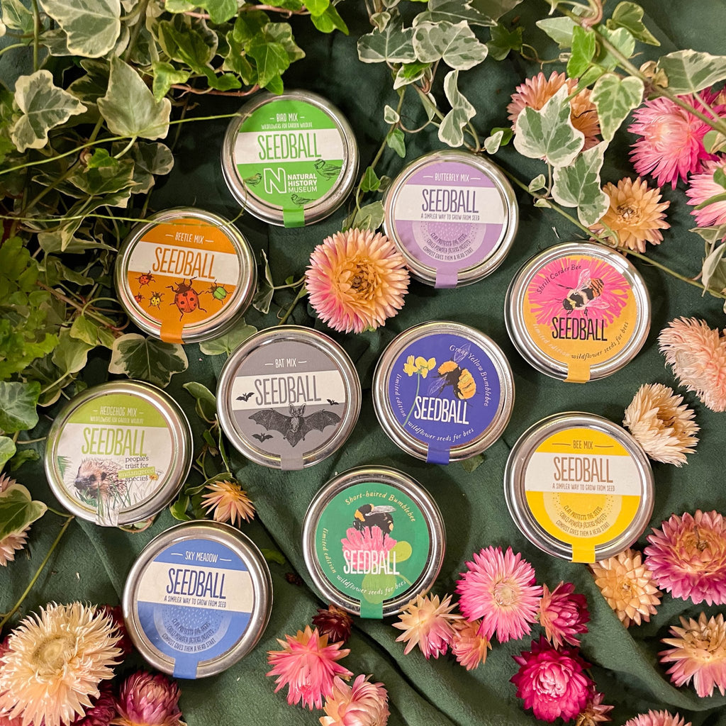 The Nature Lover Mini Gift Set - Enamel Pin and Wildflower Seeds - Choose your own! - Sprouts of Bristol