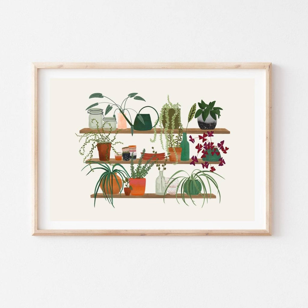 Three Shelves A4 Print by Alice Landen - Sprouts of Bristol