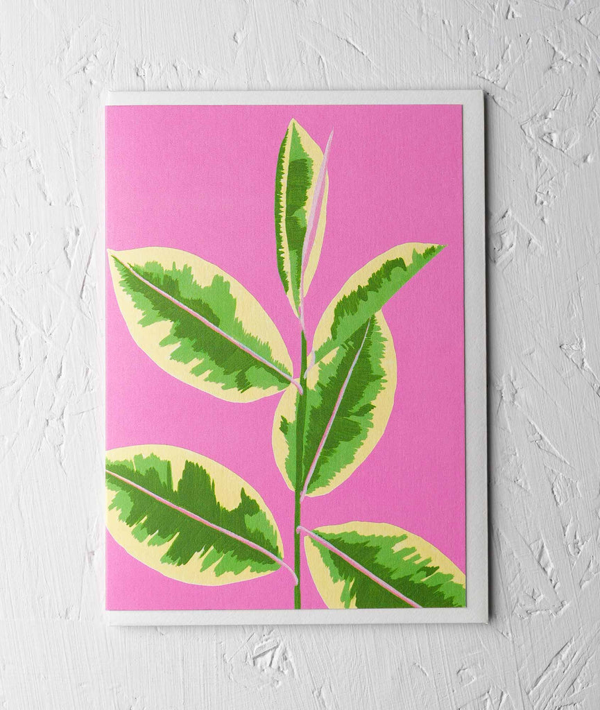 Variegated Rubber Plant Greetings Card - Sprouts of Bristol
