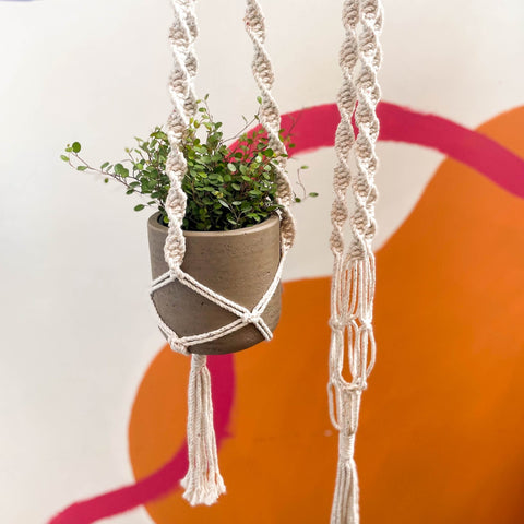 rainbow macrame plant hanger White Rainbow Dust Macrame Plant Hanger – Sprouts of Bristol