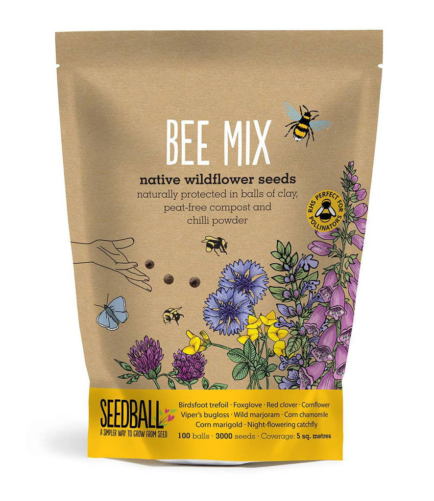 Wildflower Seedball Bee Mix Grab Bags - Sprouts of Bristol