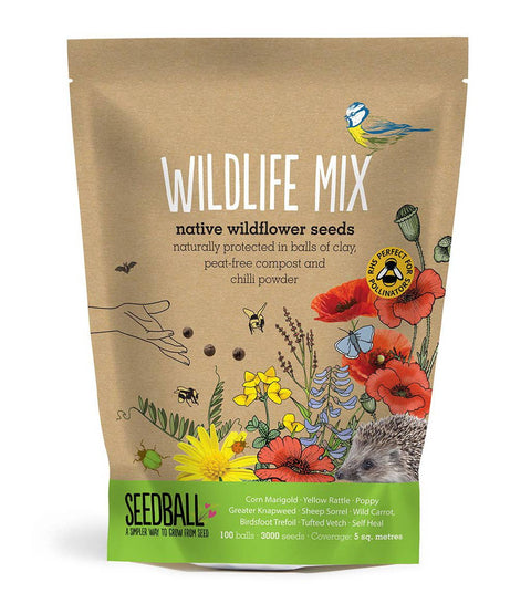 Wildflower Seedball Wildlife Mix Grab Bags - Sprouts of Bristol