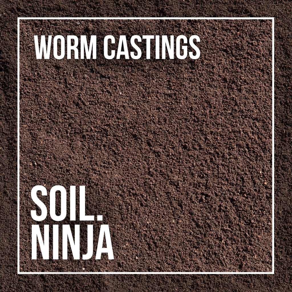 Worm Castings - Soil Component - Sprouts of Bristol