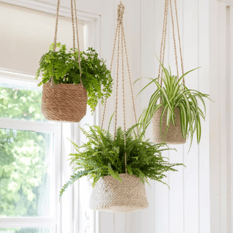 Woven Hanging Pot - Sprouts of Bristol